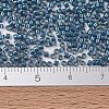 MIYUKI Delica Beads SEED-J020-DB2384-4