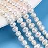 Natural Cultured Freshwater Pearl Beads Strands PEAR-N014-05L-1