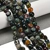 Natural Indian Agate Beads Strands G-P497-01E-89-2