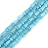 Natural Freshwater Shell Beads Strands SHEL-G013-02C-1