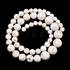 Synthetic Turquoise and Sea Shell Assembled Graduated Beads Strands GG-CBA2AE1-A07-6