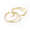 Brass Hoop Earrings EJEW-L234-06G-2