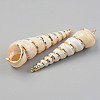 Electroplate Natural Spiral Shell Pendants SHEL-T017-18-2