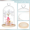 Heart Glass Dome Cover AJEW-WH0471-48D-5