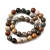 Natural Picture Jasper Beads Strands G-S390-07-10mm-3