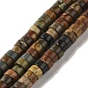 Natural Picasso Jasper Beads Strands G-Q161-D01-01-1