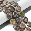 Natural Leopard Skin Jasper Beads Strands G-K365-B18-03-2