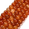 Dyed Natural Red Agate Beads Strands G-G203-10H-10mm-2