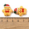 Christmas Theme Resin Cabochons RESI-R451-01A-3