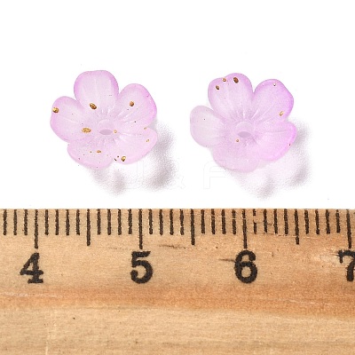 Acrylic Bead Caps OACR-Z028-03A-1