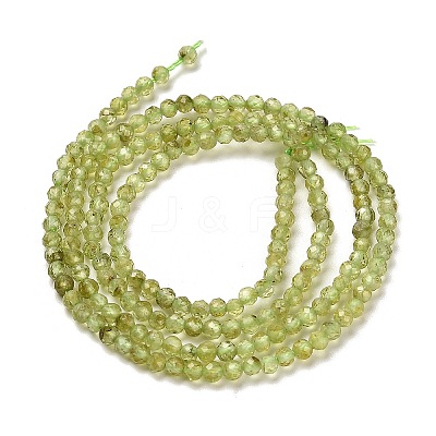 Natural Peridot Beads Strands G-B107-A06-01-1