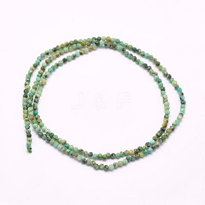 Natural African Turquoise Beads Strands G-F509-29-2mm-1