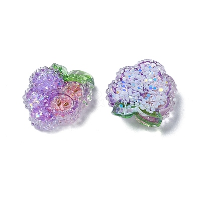 Fruit Transparent Epoxy Resin Decoden Cabochons LS-CRES-I030-23E-1