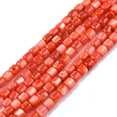 Natural Freshwater Shell Beads Strands SHEL-N003-33-A06-1