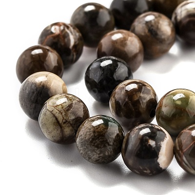 Round Natural Ocean Agate/Ocean Jasper Beads Strands G-O199-02B-1