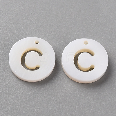 Natural Freshwater Shell Pendants SHEL-Q311-008C-1