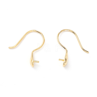 925 Sterling Silver Earring Hooks STER-P047-01B-G-1