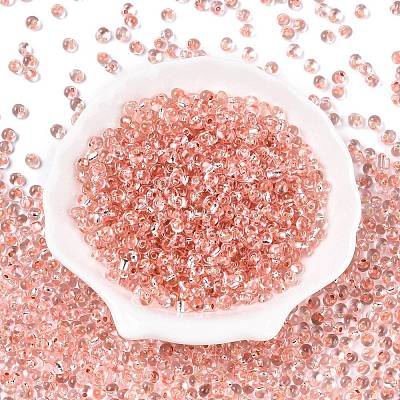 6/0 Baking Paint Transparent Fringe Glass Seed Beads SEED-N006-06E-1