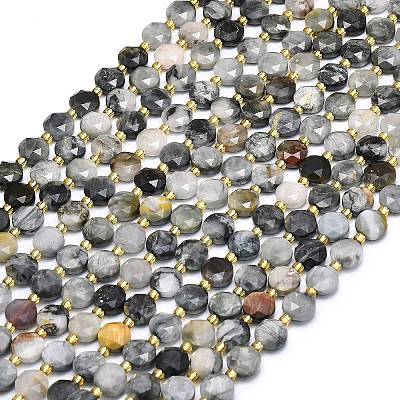 Natural Eagle Eye Stone Beads Strands G-C116-A41-02-1