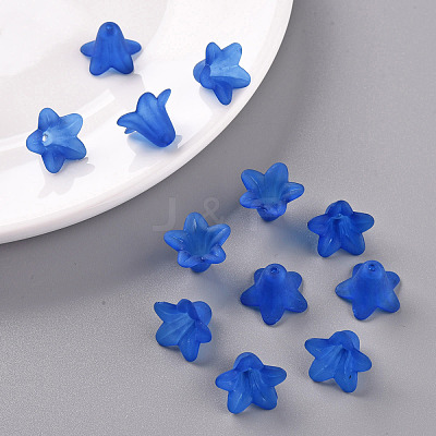 Transparent Acrylic Beads PLF018-10-1