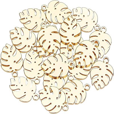 304 Stainless Steel Charms STAS-UN0020-59G-1