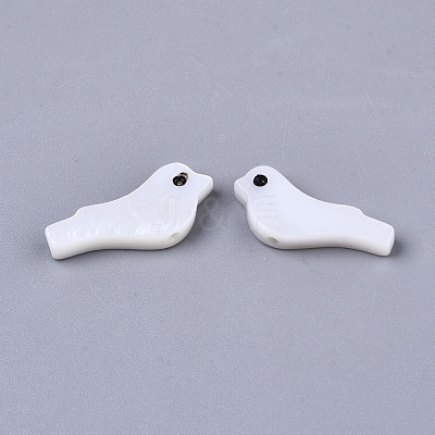 Natural Freshwater Shell Beads SSHEL-R049-02-1