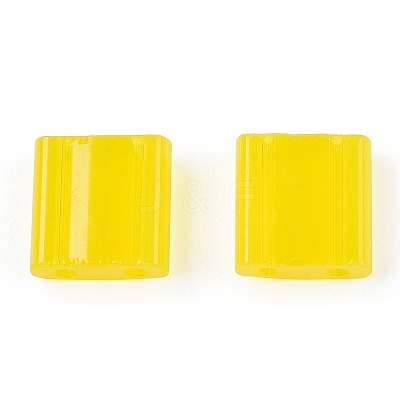 2-Hole Glass Seed Beads SEED-T003-01C-11-1