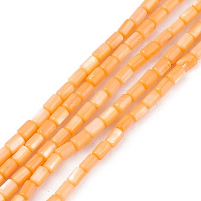 Natural Freshwater Shell Dyed Beads Strands SHEL-M018-12-07-1