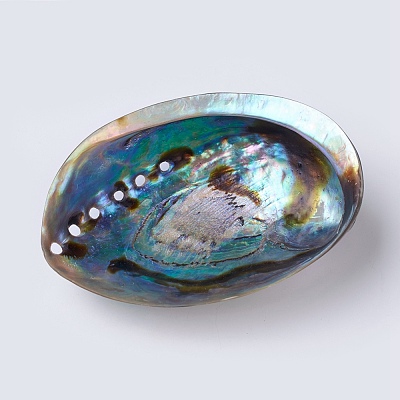 Natural Abalone Shell/Paua ShellDecoration SSHEL-K024-01B-1