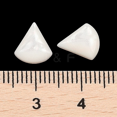Opaque Resin Decoden Cabochons CRES-I036-19B-1