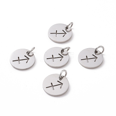 Non-Tarnish 304 Stainless Steel Charms STAS-Q201-T445-9S-1