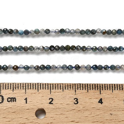 Natural Apatite Beads Strands G-RM2025-A18-2mm-A-1