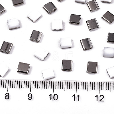 FGB 2-Hole Glass Seed Beads SEED-S031-L-ST41-H-1