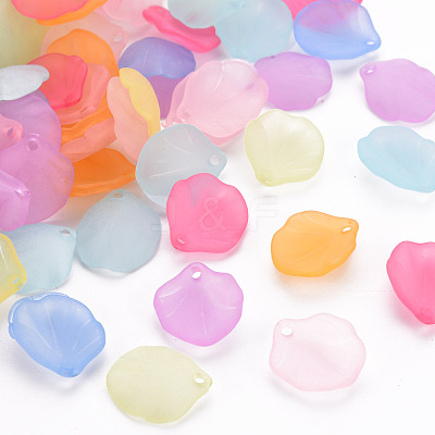 Transparent Frosted Acrylic Pendants MACR-S371-02A-1