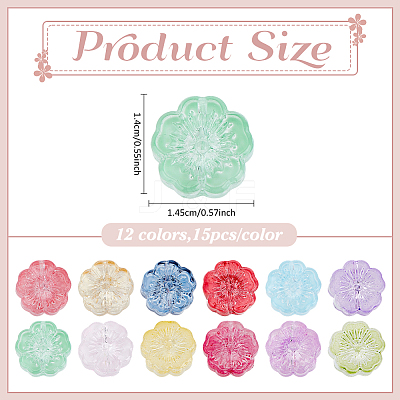 180Pcs 12 Colors Transparent Glass Beads DGLA-ME0001-01-1