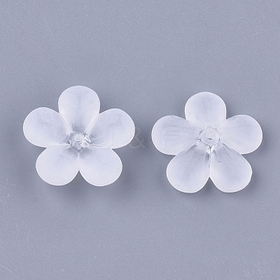 Transparent Acrylic Beads FACR-T001-04-1