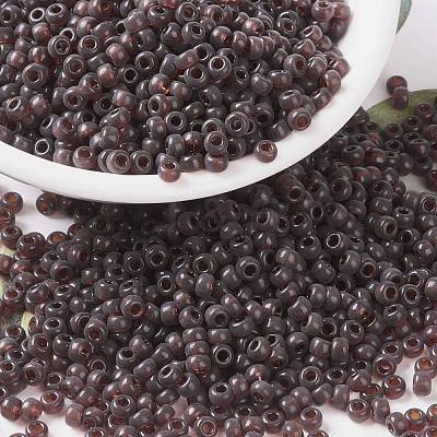 MIYUKI Round Rocailles Beads SEED-X0055-RR2400-1