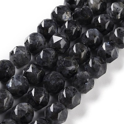 Natural Larvikite Beads Strands G-NH0021-A04-02-1