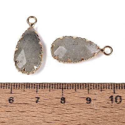 Natural Labradorite Faceted Pendants G-Q606-104G-04-1