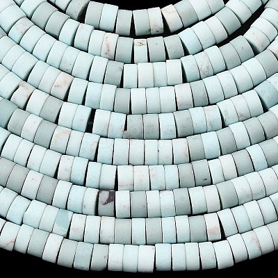 Dyed Synthetic Turquoise Beads Strands G-Z089-A04-C-1