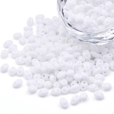 Opaque Luster Czech Glass Seed Beads SEED-N004-005-D02-1