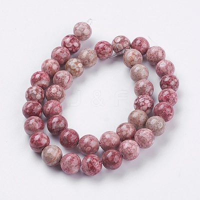 Natural Fossil Coral Beads Strands G-F563-01-10mm-1