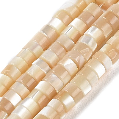 Natural Trochus Shell Beads Strands BSHE-E030-09B-02-1