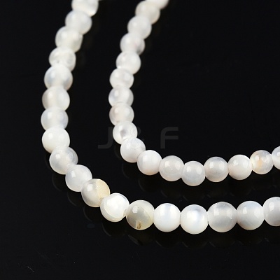 Natural White Shell Bead Strands SSHEL-N003-144A-01-1