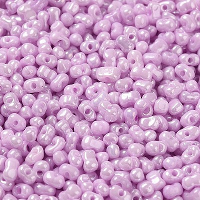 Glass Seed Beads SEED-K009-02A-06-1