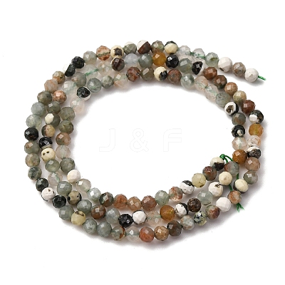 Natural Tree Agate Beads Strands G-RM2025-A40-3mm-1