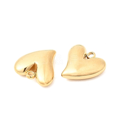 304 Stainless Steel Charms X-STAS-P441-02G-1