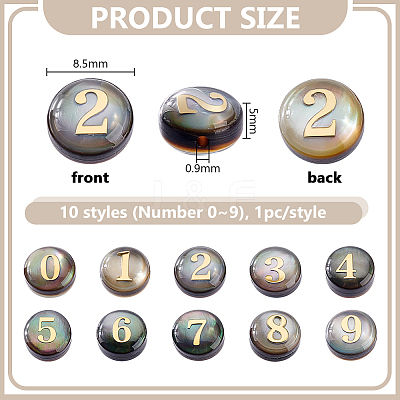 10Pcs 10 Styles Natural Black Lip Shell Flat Round Beads BSHE-PH0001-61-1
