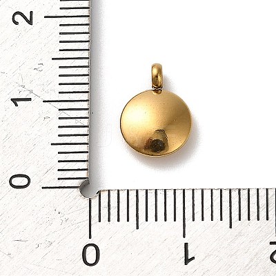 304 Stainless Steel Black Enamel Charms LS-STAS-R009-02G-09-1