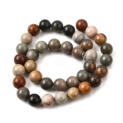Natural Picture Jasper Beads Strands G-S390-07-10mm-1